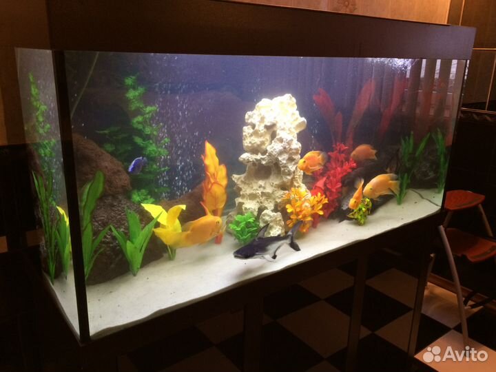 Обслуживание аквариумов