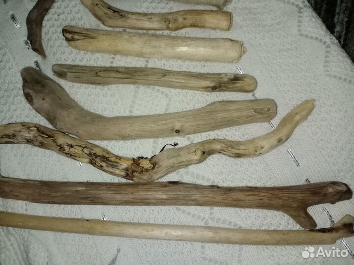 Дрифтвуд палочки из моря много разных