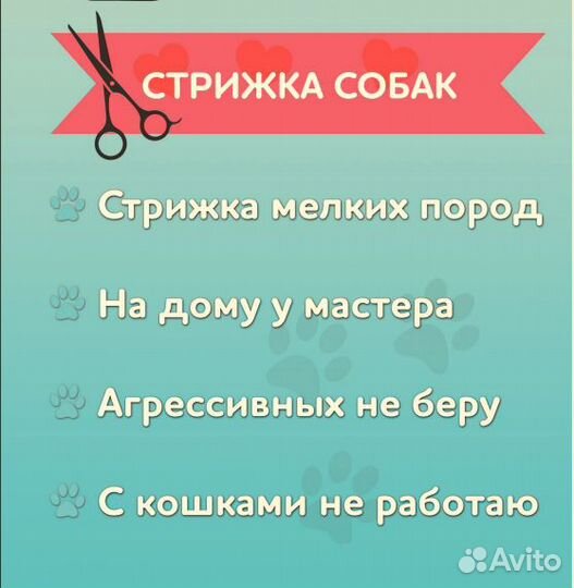 Стрижка собак