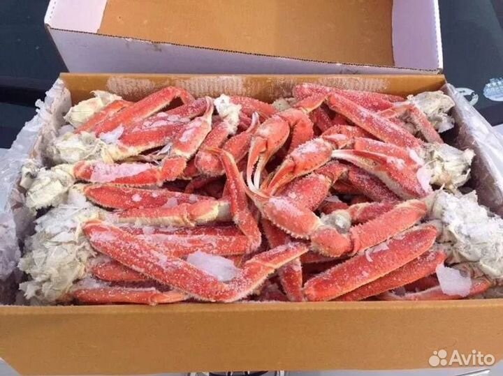 Краб стригун клешни