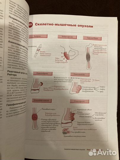 Наглядная хирургия. А. Пирс