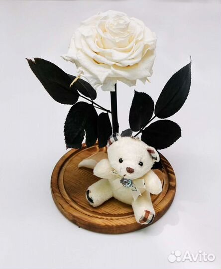 Роза в колбе (живет 5 лет) + подсветка