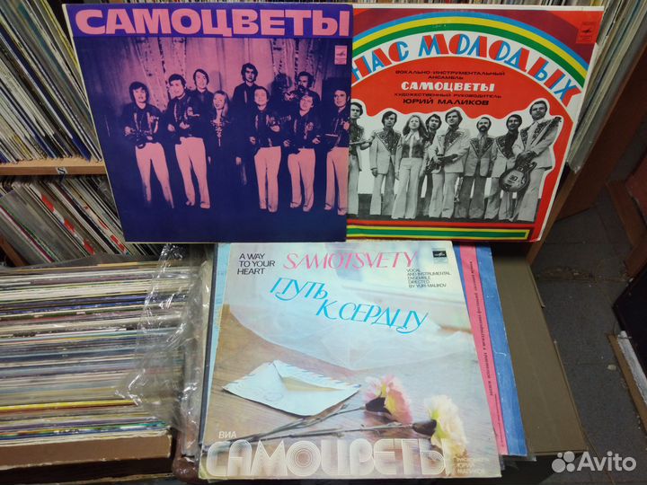 Виа Песняры самоцветы ободзинский сябры и др