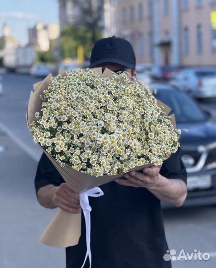 Ромашки, букет из ромашек, доставка цветов
