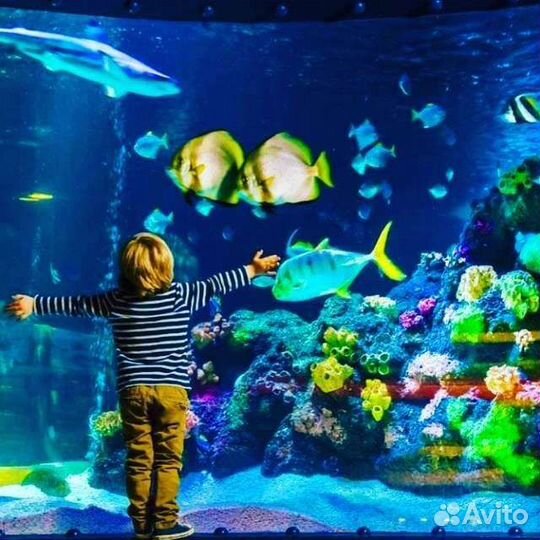 Интерактивный аттракцион для детей