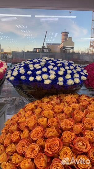 Синие Розы Радужные Букеты Цветы Доставка 24/7