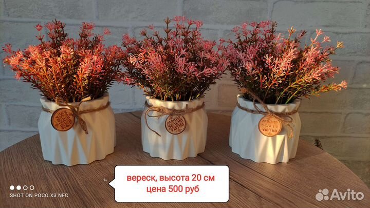 Искусственная зелень в кашпо туя папоротник бонсай