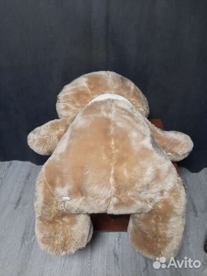 Плюшевый медведь