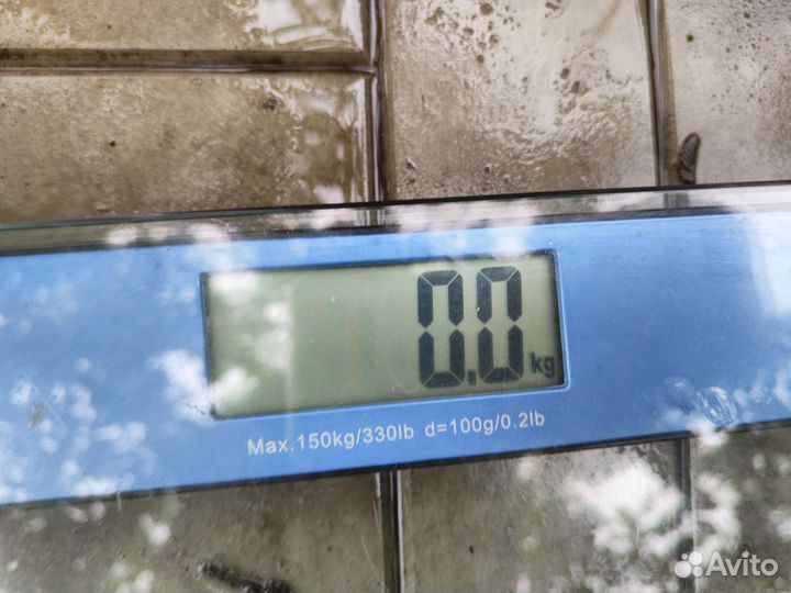 Весы напольные электронные scarlett