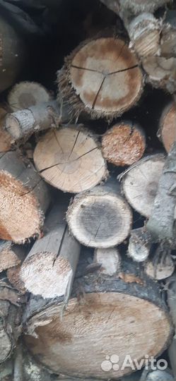Дрова сухие: берёза, дуб, яблоня, слива, тополь