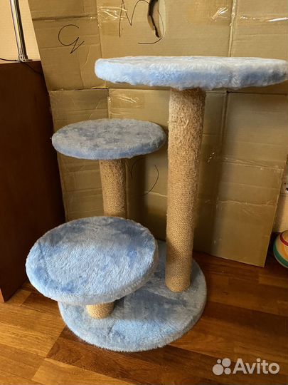 Когтеточка