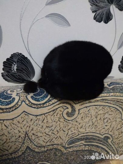 Шапка норковая