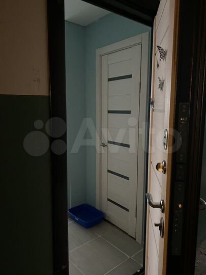 1-к. квартира, 30 м², 9/9 эт.