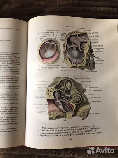Атлас анатомии человека, синельников