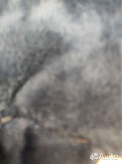 Комбинезон для средней собаки