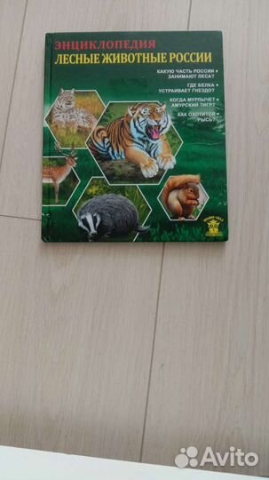 Книги для детей познавательные