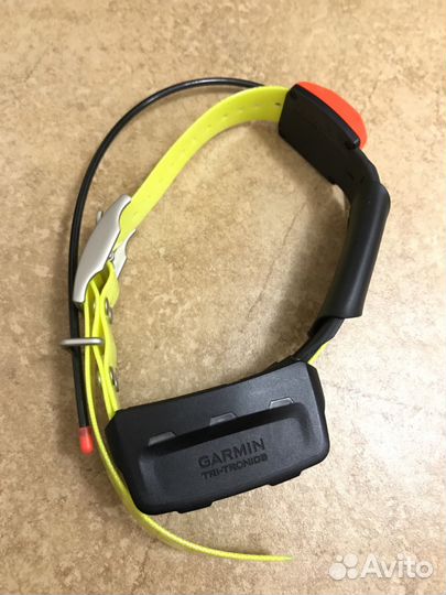 Ошейник Garmin Astro T5 RUS, без аксессуаров