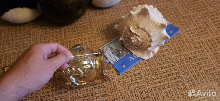 Кувшин стекло и раковина морская большая