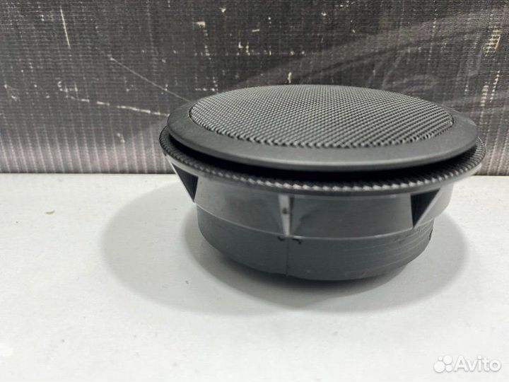 Динамик Bmw X5 E53 M62B44 2001