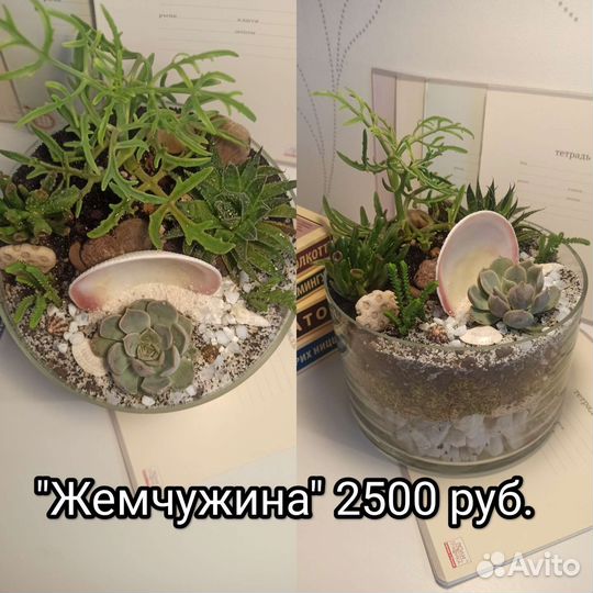 Флорариумы, суккуленты, готовый подарок