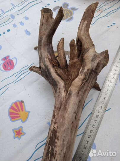 Коряги для аквариума,террариума,флорариума и декор