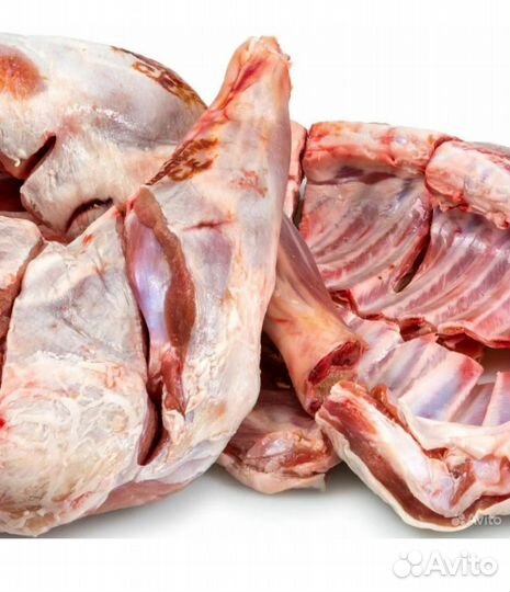 Мясо баранины Халяль