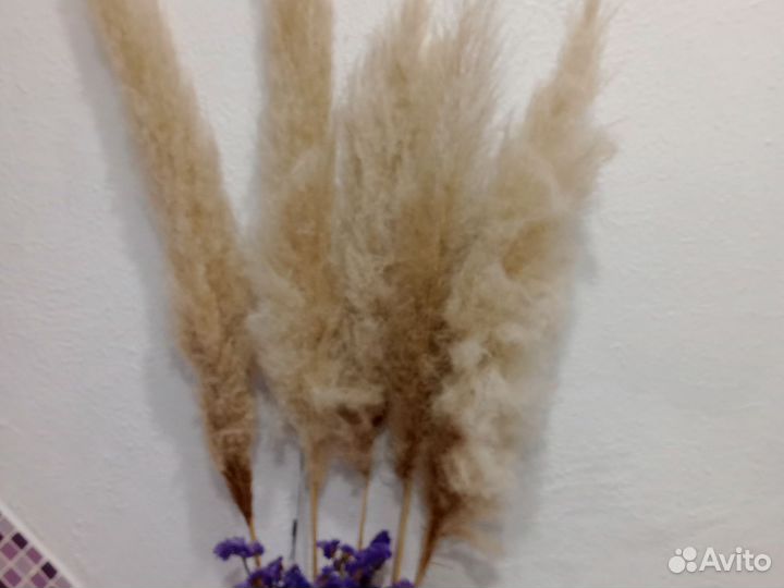 Пампасная трава и букеты из сухоцветов