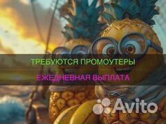 Подработка промоутер ежедневные выплаты для всех