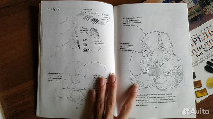 Самоучители как рисовать акварелью и карандашом