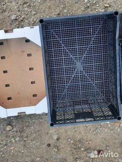 Ящики пластиковые овощные, фруктовые,грибные