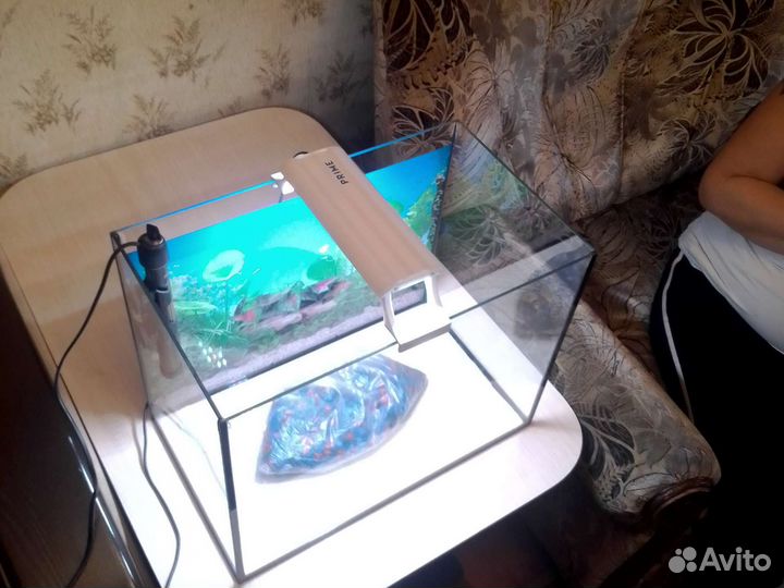 Аквариум