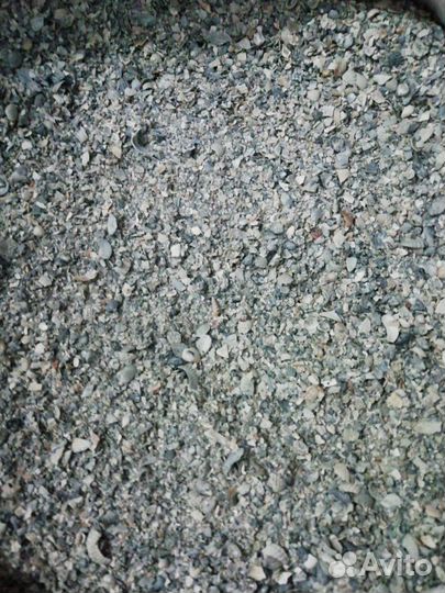 Ракушка морская кормовая высокого качества