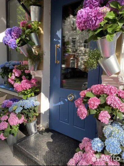 Помощник администратора салона красоты