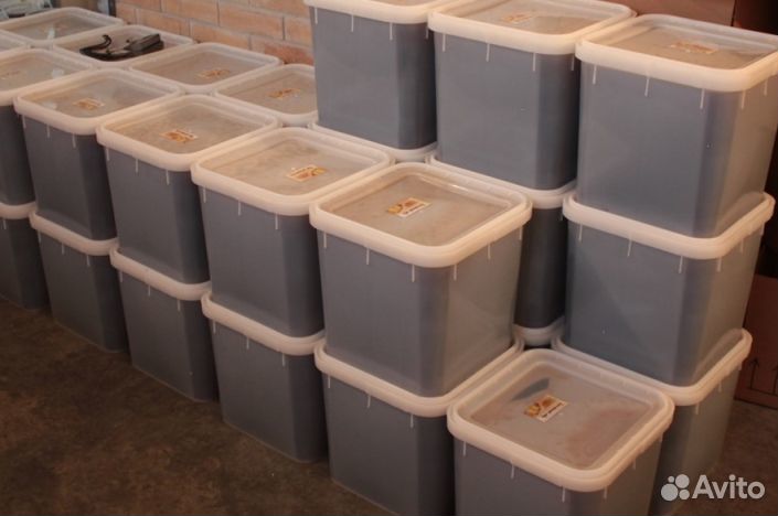 Мёд натуральный из Алтая опт от 16 кг