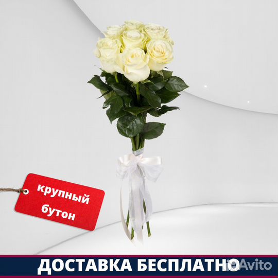 Розы Эквадор - 7 шт. 50 см