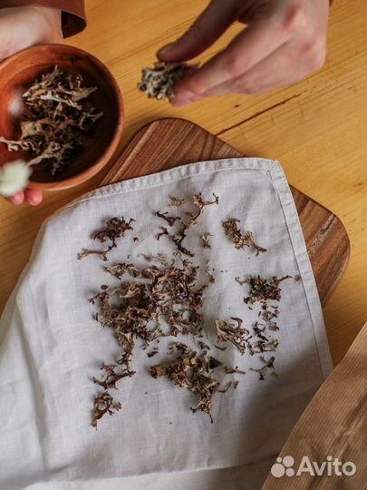 Исландский мох от кашля