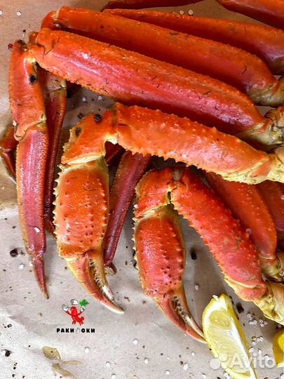 Раки Волжские