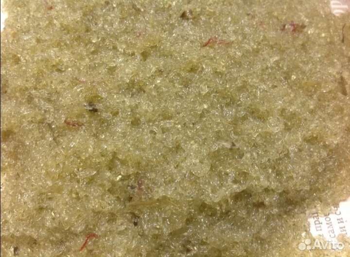 Корма для аквариумных рыб сухие, живые, заморозка