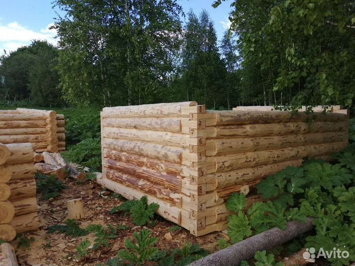 Сруб дома из бревна