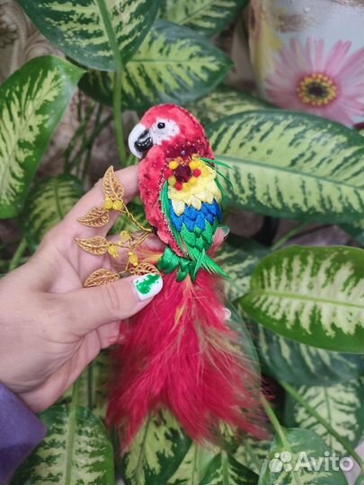 Попугай брошка