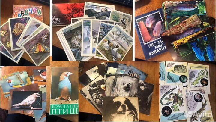 Открытки СССР чистые