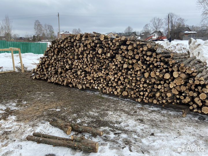 Деревья можевелника