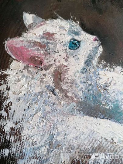 Картина маслом котенок белый