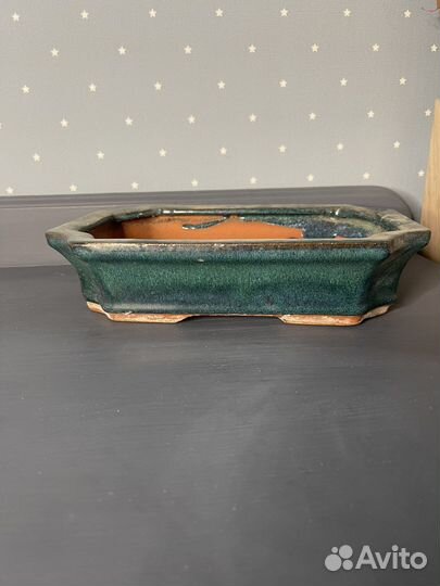 Горшок для бонсай