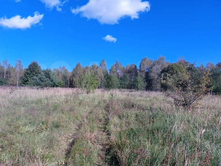 Участок 3,3 га (ИЖС)