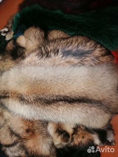 Шкуры мех енот