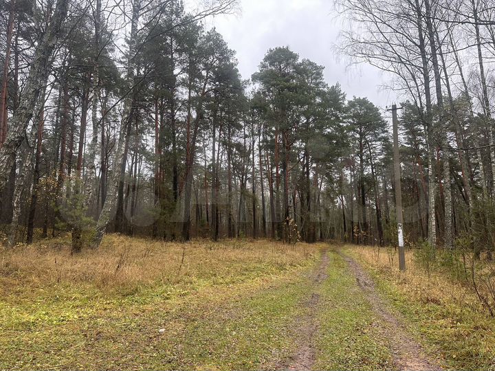 Участок 17 сот. (ИЖС)