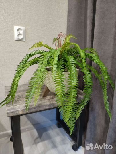 Искусственные деревья глициния, манго, фикус