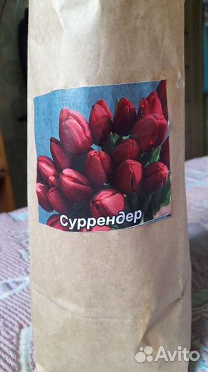 Луковицы тюльпанов.оптом