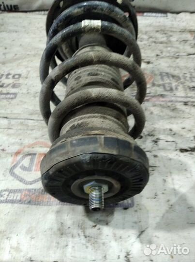 Стойка передняя левая Chevrolet Cruze J300 F16D3